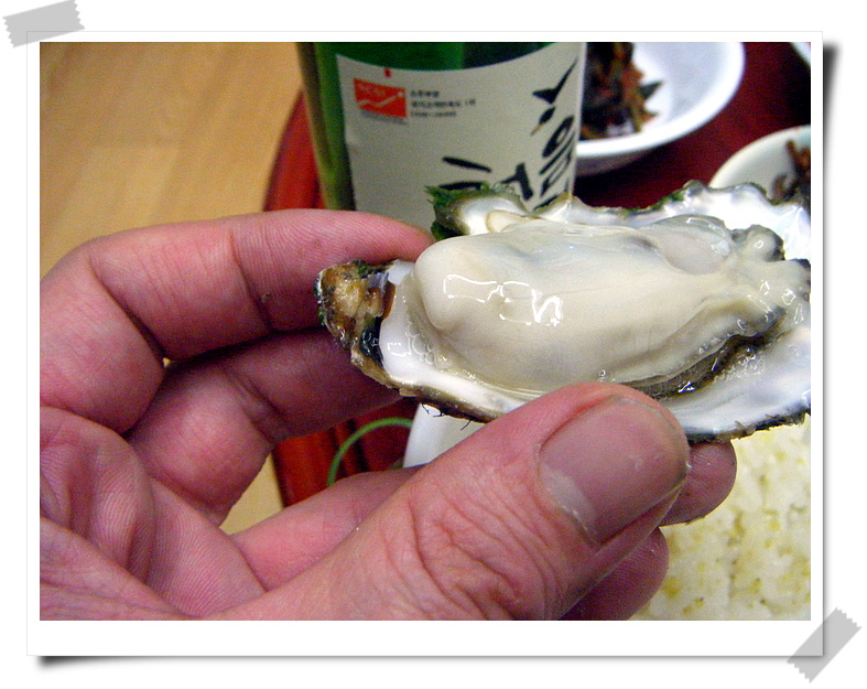 2010 oyster 06.jpg