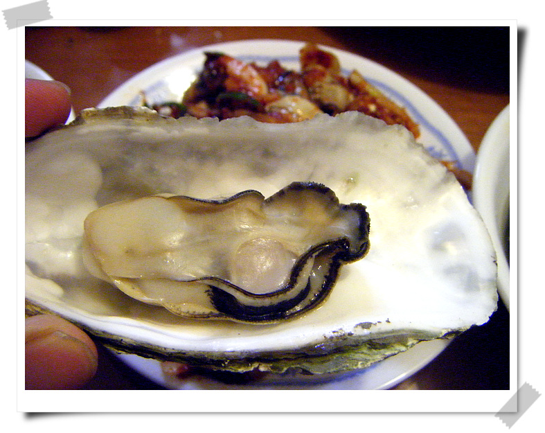2010 oyster 15.jpg