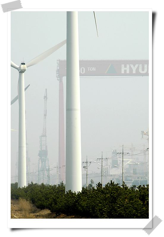 wind power 03.jpg